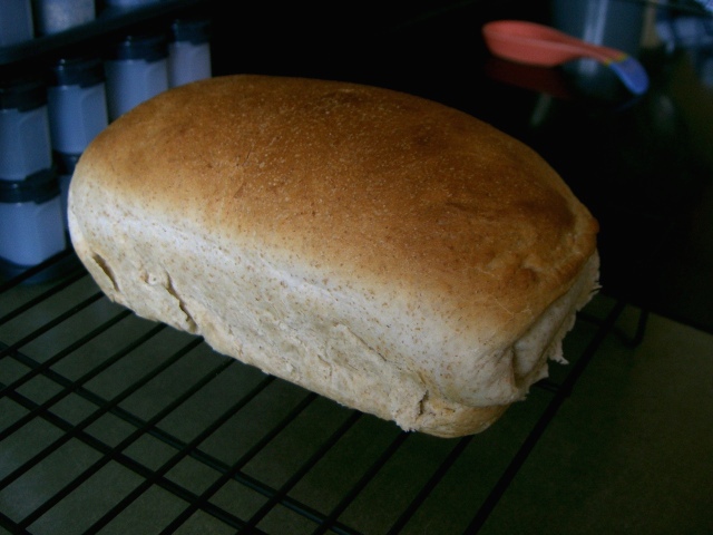 The First Real Loaf