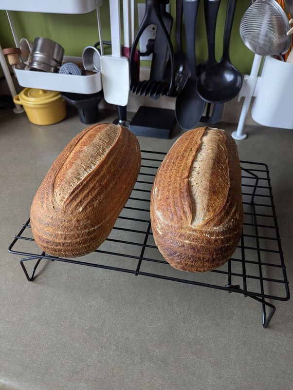 Two batards of sourdough in a cooling rack.