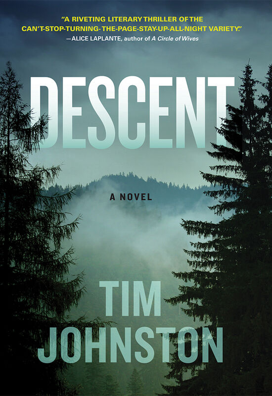 Cover for Descent by Tim Johnston