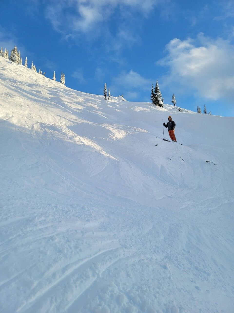 Me standing on a mogul, probably just before wiping out again.  Friday was a tough day...
